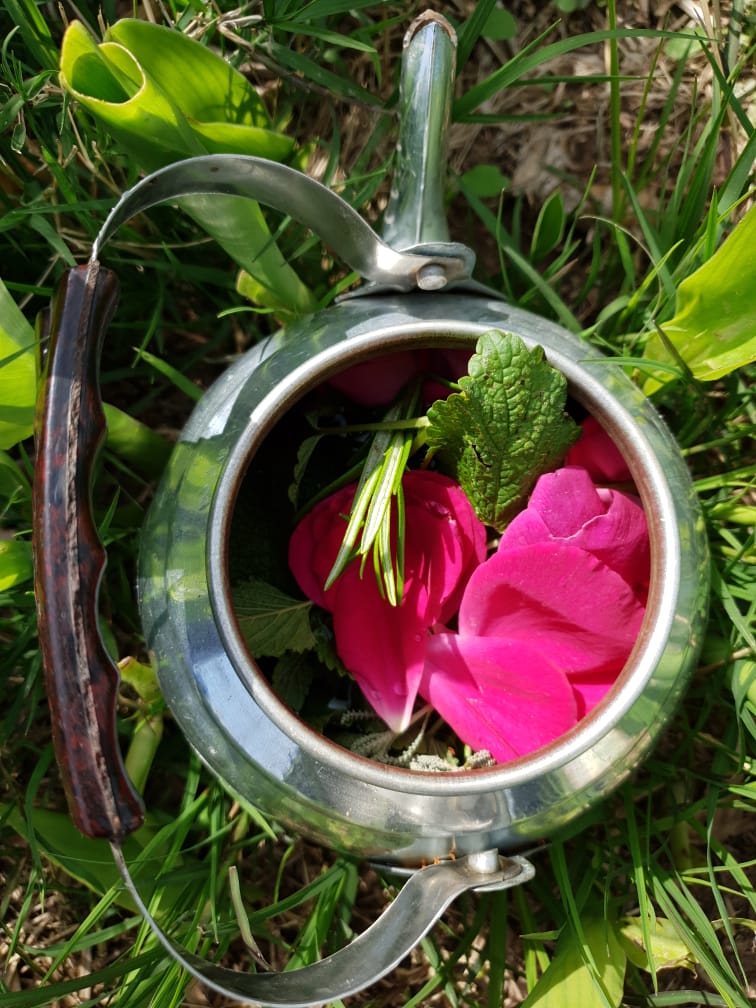 Herbal tea ingredients in teapot in Azadi Community Garden, Domiz 1 camp, Kurdistan Region of Iraq